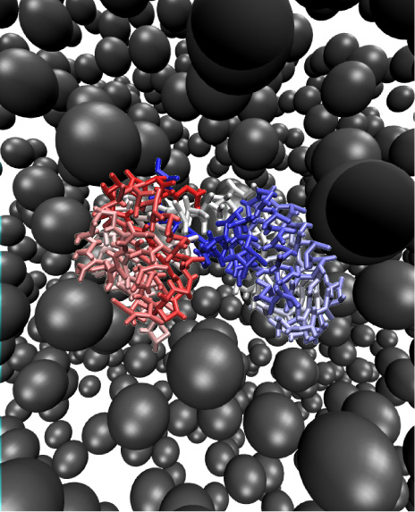 File:Remd.jpg